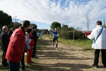 cir_921.jpg