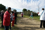 cir_923.jpg