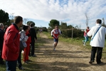 cir_924.jpg