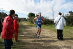 cir_929.jpg