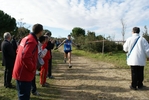 cir_931.jpg