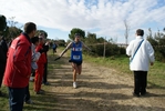 cir_932.jpg