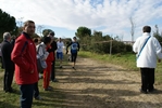 cir_934.jpg