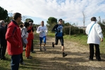 cir_935.jpg
