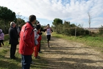 cir_937.jpg