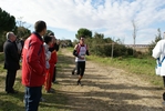 cir_938.jpg