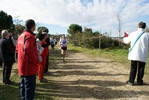 cir_940.jpg