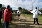 cir_943.jpg