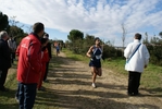 cir_947.jpg