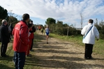 cir_949.jpg