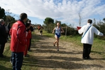 cir_950.jpg