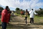 cir_954.jpg