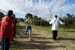 cir_956.jpg