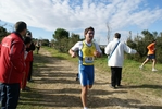 cir_957.jpg