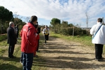 cir_959.jpg