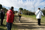 cir_960.jpg