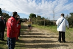 cir_962.jpg