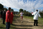 cir_1000.jpg