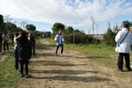 cir_1168.jpg