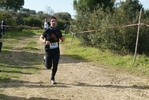 cir_1245.jpg