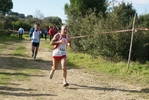 cir_1249.jpg