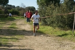 cir_1256.jpg