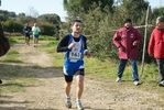 cir_1260.jpg
