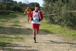 cir_1269.jpg