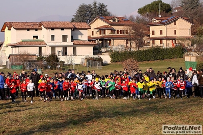 Clicca per vedere l'immagine alla massima grandezza