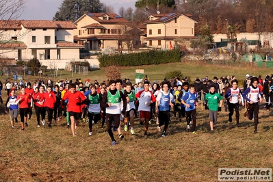 Clicca per vedere l'immagine alla massima grandezza