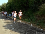 P1500653.jpg