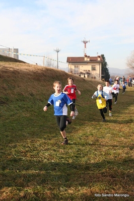 Clicca per vedere l'immagine alla massima grandezza