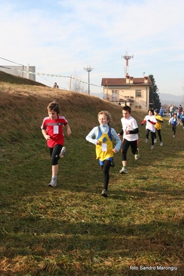 Clicca per vedere l'immagine alla massima grandezza