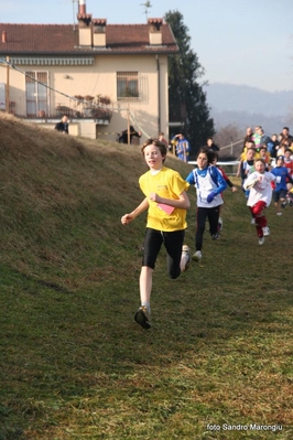Clicca per vedere l'immagine alla massima grandezza