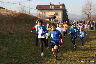 Clicca per vedere l'immagine alla massima grandezza
