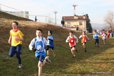 Clicca per vedere l'immagine alla massima grandezza