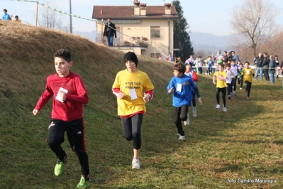 Clicca per vedere l'immagine alla massima grandezza