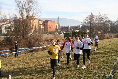 Clicca per vedere l'immagine alla massima grandezza