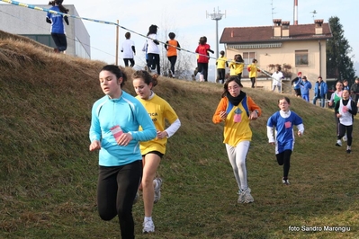 Clicca per vedere l'immagine alla massima grandezza