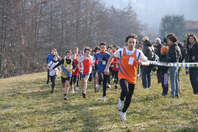 Clicca per vedere l'immagine alla massima grandezza