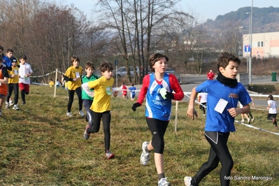 Clicca per vedere l'immagine alla massima grandezza