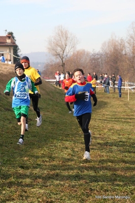 Clicca per vedere l'immagine alla massima grandezza