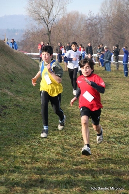 Clicca per vedere l'immagine alla massima grandezza