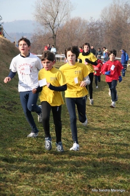 Clicca per vedere l'immagine alla massima grandezza