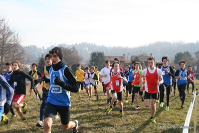 Clicca per vedere l'immagine alla massima grandezza