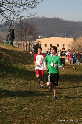 Clicca per vedere l'immagine alla massima grandezza