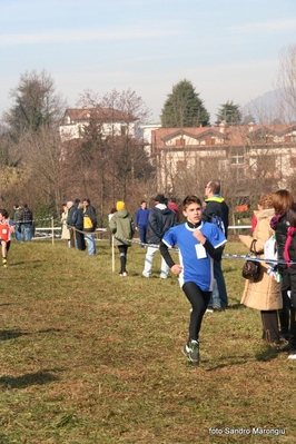 Clicca per vedere l'immagine alla massima grandezza