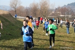 IMG_4200.jpg