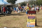 berg_1292.jpg