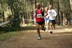 berg_1435.jpg